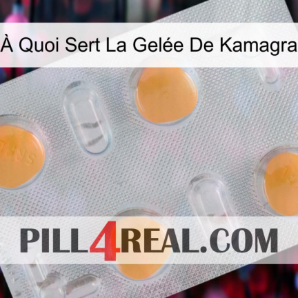 À Quoi Sert La Gelée De Kamagra 24